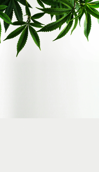 SamsonExtracts
