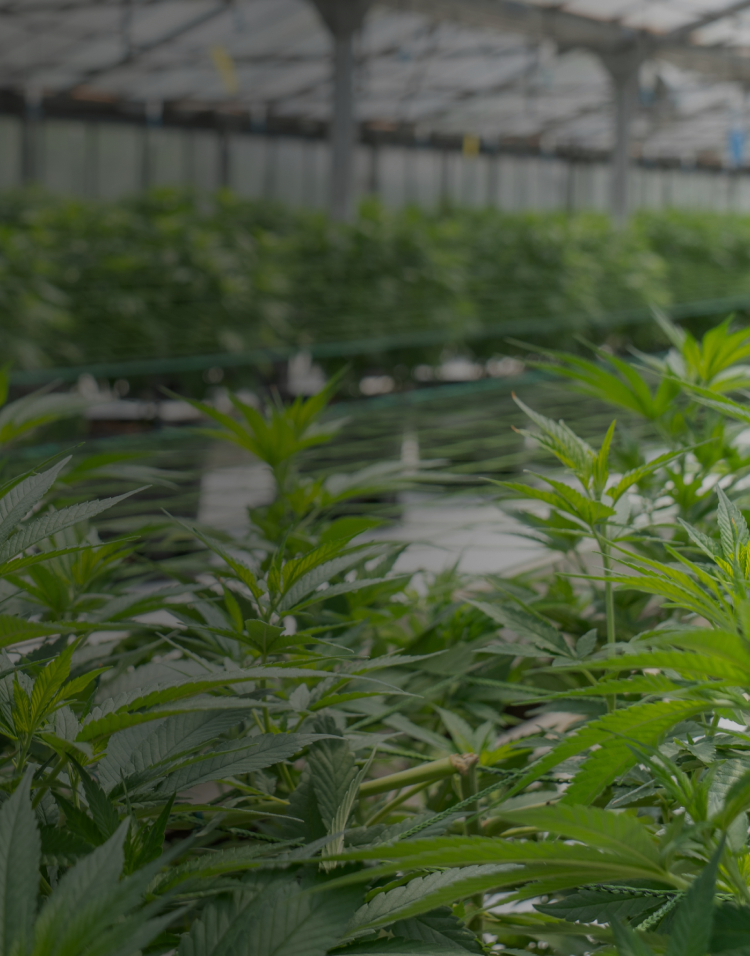 SamsonExtracts